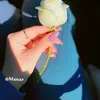 ma._a22