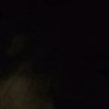 seyran_081