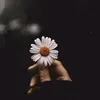 marya____23____