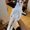 sebastian.ark