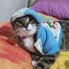 cucuismylife