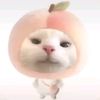 chue_pann_123