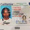 official20007