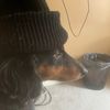 thewigglyt.com