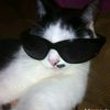 semz_01