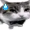 phantrngduy