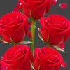 user7158806603917