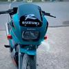 dolphinbe27