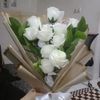 elysutiha068