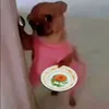 phobuonme