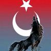 bayrak.37.vatan