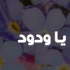 sameh.chiheb