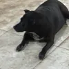 zenbiddzvcl08