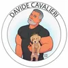 davidecavalieri03