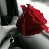 user2497354213602