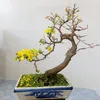 hoangvuong101985