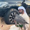 alshamsii27