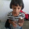 a_pereira648