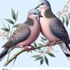 user5015380123977