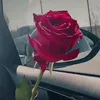 amiratnafsi126