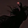 dizard7