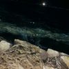 mohamed_marghany82