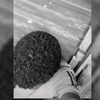 taliyejacfar1