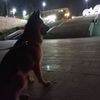 sessiz_0303