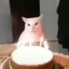 zuzyyt