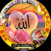 sabirzahiri262