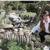 dinosauridisasso