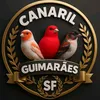 canarilguimaressf