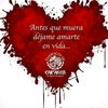 user3905369965888