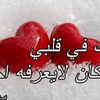 3z.mad