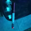 bongbien25