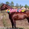 bismarckbarrera2