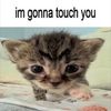 funncatguy008