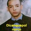 dicenquepalnarco951