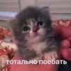 user_weu056
