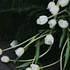 linhlinh02_10