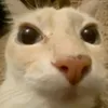 nguyntrng756