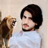 ___maisamabbas110