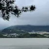 imtang6789