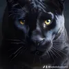 kekeloliva92