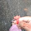 nuraleeyaa_21