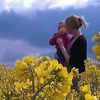 postpalette_