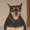 y._ilario_.y