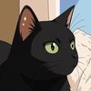 catastrofickat