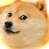 doge.plays19