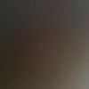 4_holick